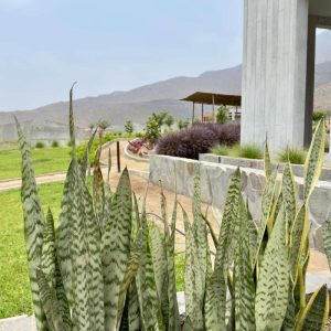 4 Lomas de Granado