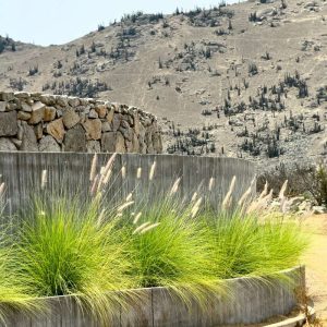 5 Lomas de Granado